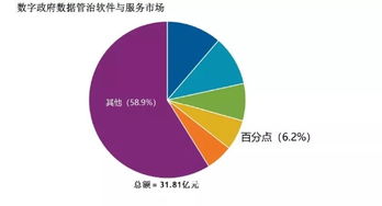 百分點(diǎn)躋身IDC數(shù)字政府?dāng)?shù)據(jù)管理與治理軟件和服務(wù)市場第四名，數(shù)據(jù)處理服務(wù)獲認(rèn)可